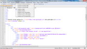 notepad++ screen