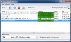 video downloader